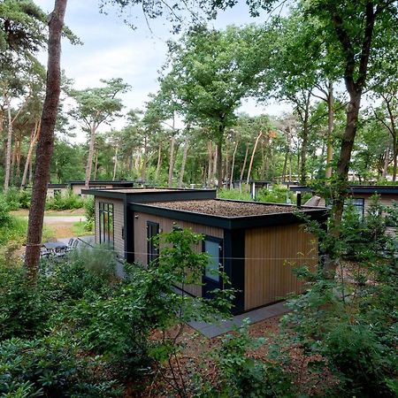 Forestlodge In Het Vechtdal - 5 Persoons Hardenberg Extérieur photo